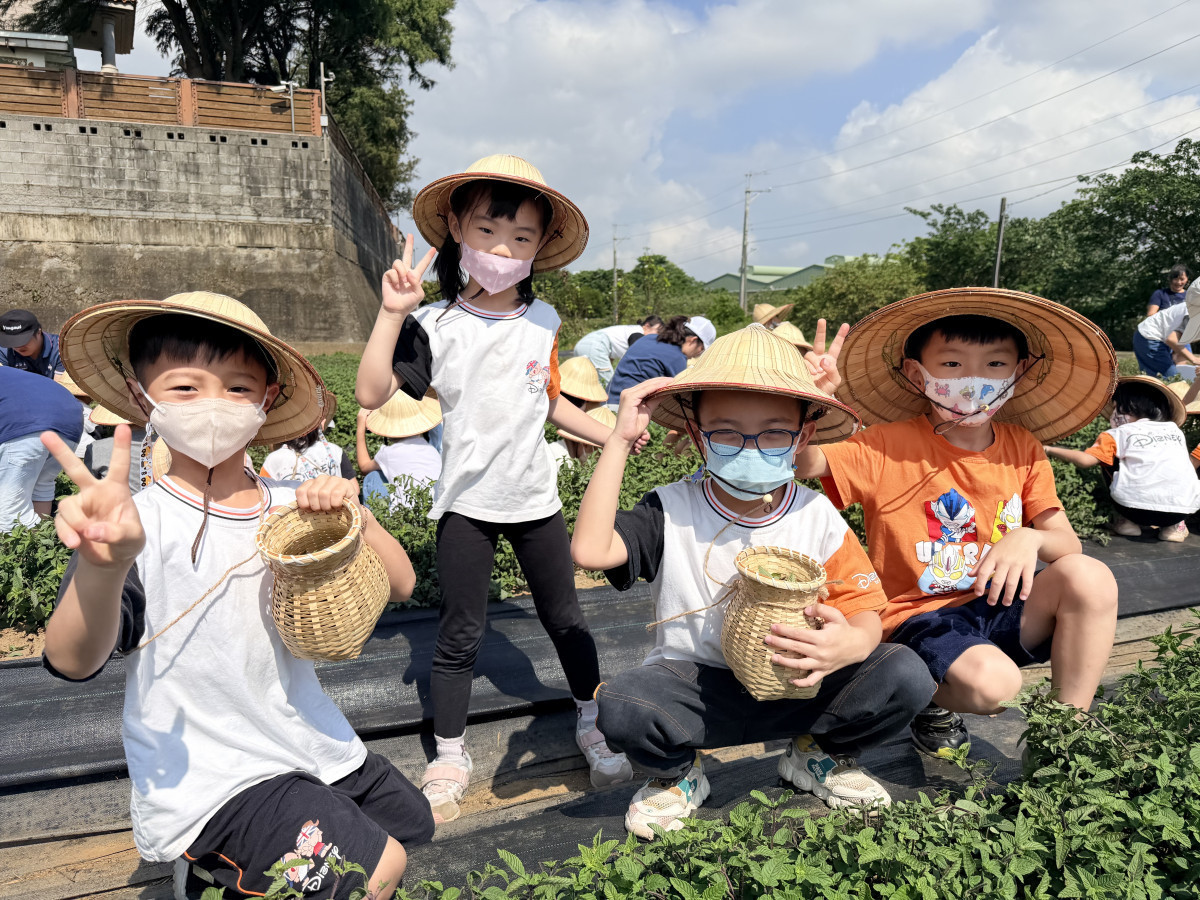 狄斯耐幼兒園的小朋友認識農作物生長過程，體會農民耕作的辛勞與收穫的喜悅。