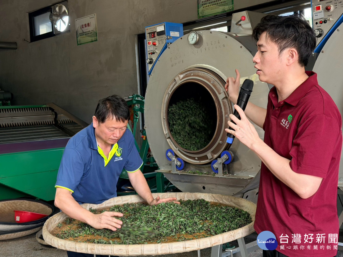父子攜手分享茶葉知識與製茶經驗。