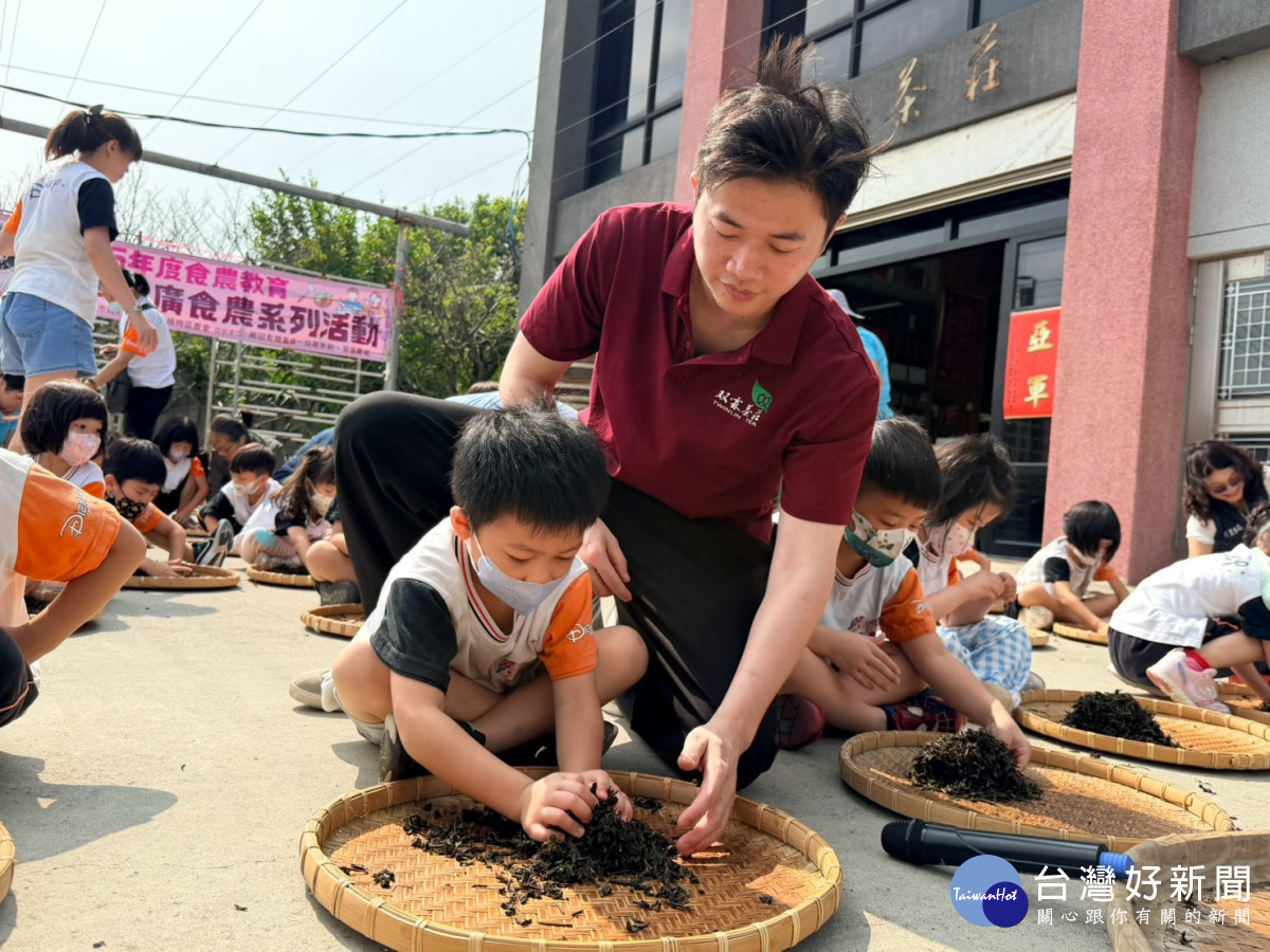 青農傳承製茶體驗。