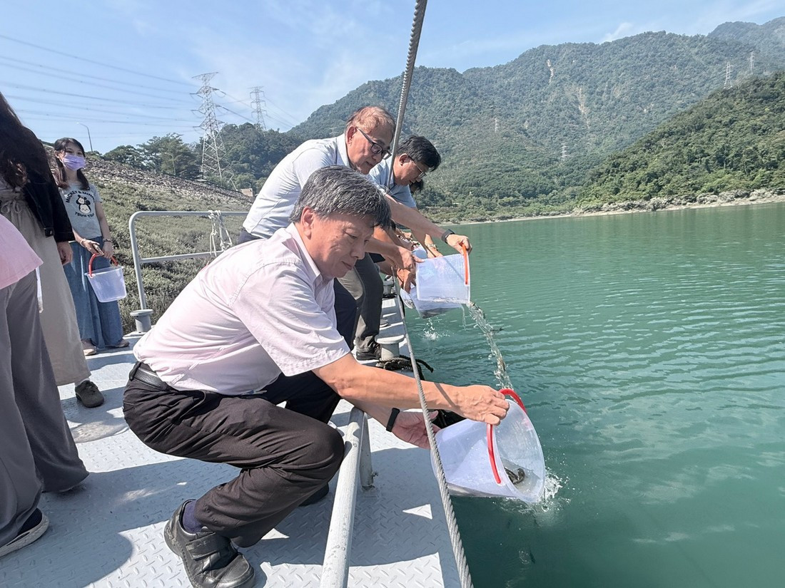 圖說：台電明潭電廠放流萬尾魚苗。（明潭發電廠提供）