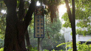 台中的公園早在2012年解禁寵物入園，西區一處公園禁犬告示至今仍未撤除，引發民眾質疑。（圖/陳招宗攝）