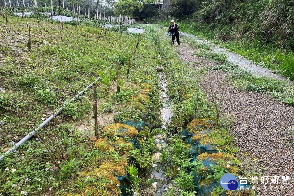 桃市水保設施巡檢申報雙軌制,民眾定期自檢保護家園。