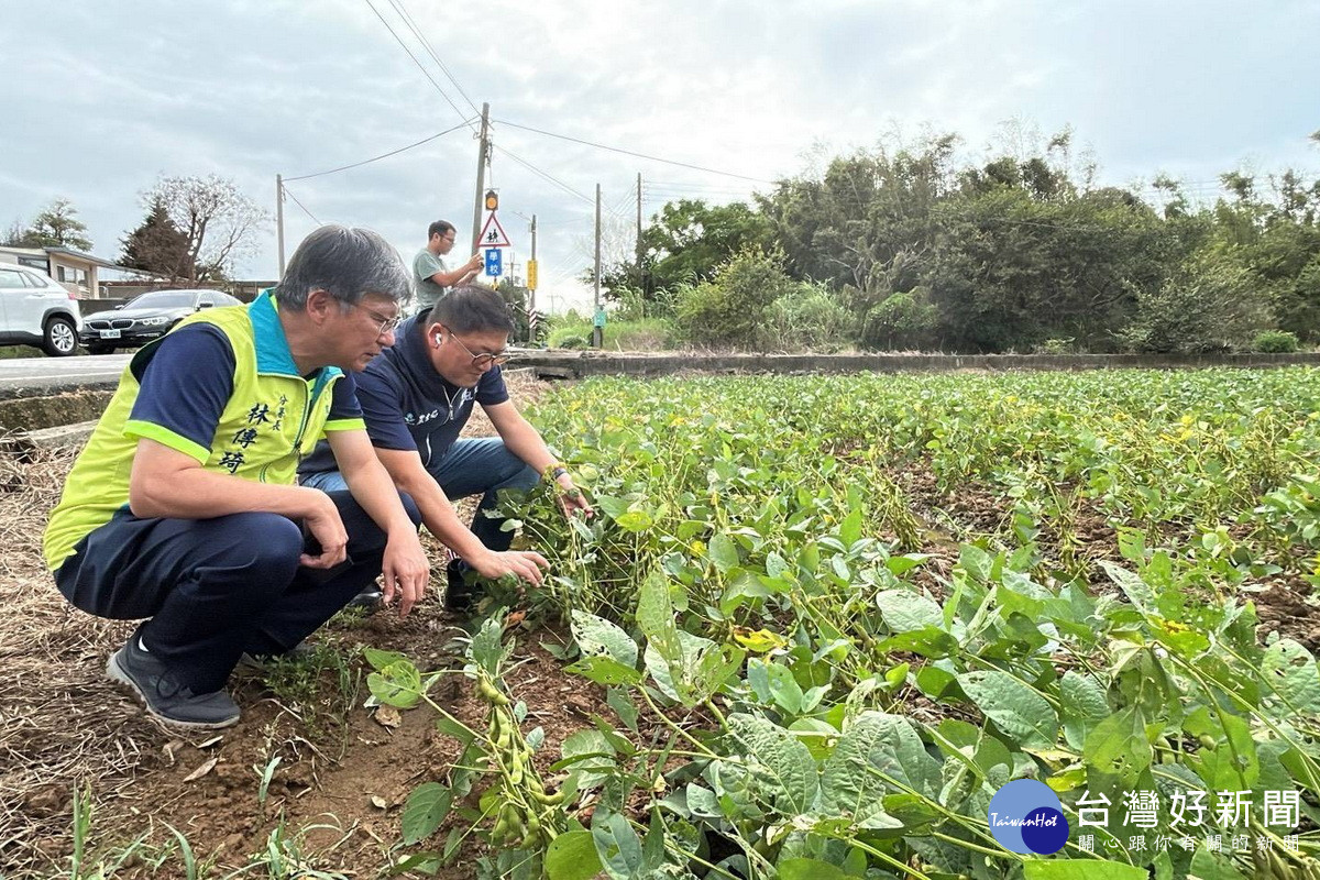 薔琵颱風來襲造成部分農作物倒伏、浸水,桃市府農業局長陳冠義赴現場查勘了解。<br />