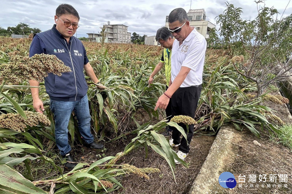 薔琵颱風來襲造成部分農作物倒伏、浸水,桃市府農業局長陳冠義赴現場查勘了解。<br />