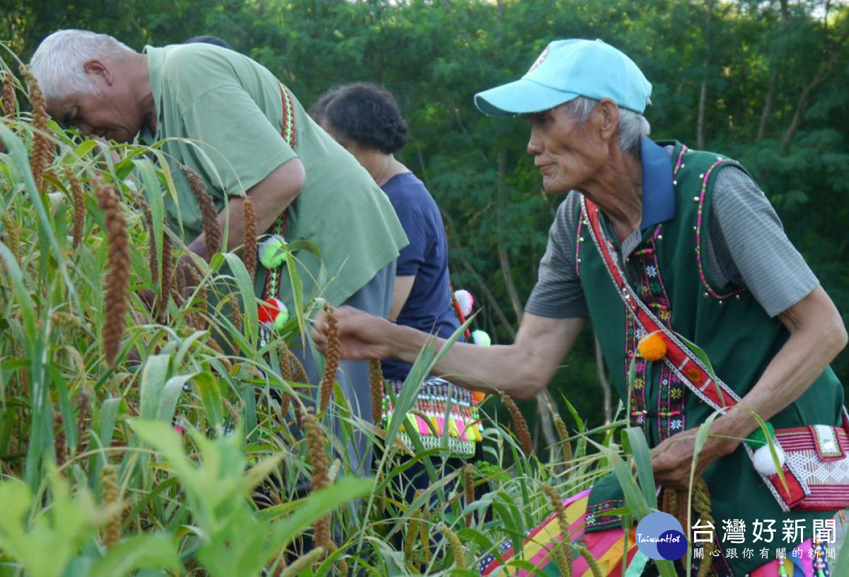 里仁支持原鄉部落「小米進校園」計畫，串聯部落友善農業、食農教育與傳統飲食文化。(里仁公司提供)