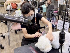霧峰林家花園林獻堂博物館國際教育中心宣布，即日起正式推出全新的「寵物證照專業人才培訓班」。(圖/霧峰林家花園林獻堂博物館國際教育中心)