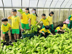 加入竹北市農會四健會的新港國小學生一同參與活動。