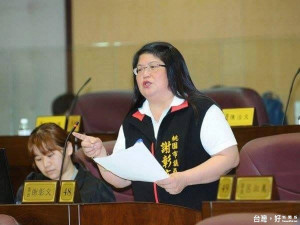 桃園市議員謝彰文希望新政府能多多傾聽民眾的聲音，不要一意孤行造成民怨。減少風災後社會資源投入的浪費，桃園市議員謝彰文建議加速電纜線地下化。