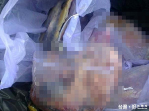 澎湖綠蠵龜遭宰殺（圖／翻攝自PTT）