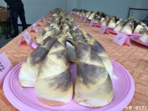 綠竹筍外觀像牛角 不出青品質佳