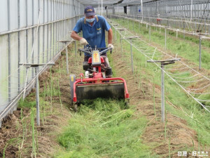 將軍區農會舉辦設施蘆筍老化母莖割除後就地碎化省工作業觀摩會，減輕耗費人力的作業。（記者邱仁武／攝）