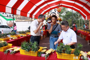 名間農會舉辦夙梨評鑑賽評審進行嚴謹評鑑。（記者扶小萍攝）	