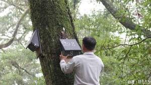 玉山國家公園蝙蝠巢箱架設及複查案，研究人員正進行8號蝙蝠巢箱之重新架設，以評估與追蹤玉山園區內蝙蝠巢箱的利用狀況。