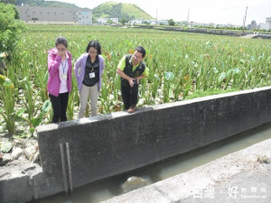 尼伯特強颱來襲，大甲區長劉來旺等人七日巡視全區排、灌水溝功

能，未雨綢繆態度獲得地方肯定。（記者陳榮昌攝）
