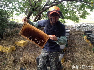 青農廖原宏投入養蜂一族