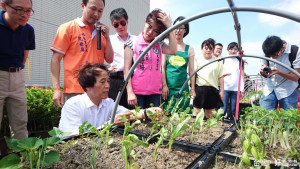 台北市副市長林欽榮視察興隆公共住宅屋頂農園。