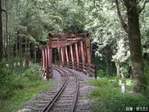 FUN暑假?森呼吸–阿里山國家森林遊樂區內水山巨木步道最佳避暑勝地