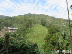 森愛台灣愛樹減碳「淨」情綻放，企業團體認養公有土地造林款款而來！