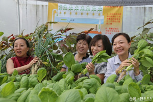 中埔鄉邑米社區大學文創館揭牌，縣長張花冠誇讚十分精彩