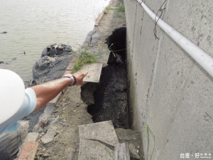 曾文趁魚塭堤基遭淘空塌陷，魚塭土堤破了一處長約三十公尺的大洞，水就直驅而入灌進魚塭，造成魚蝦死亡。（記者蘇榮泉攝）