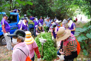 「蔓」來快除 健康生態家園靠你我