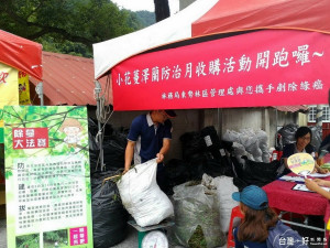 東勢林區管理處舉辦「小花蔓澤蘭全國防治日」活動，首日在和平區松鶴部落收購六百零二公斤。（記者黃玉鼎攝）