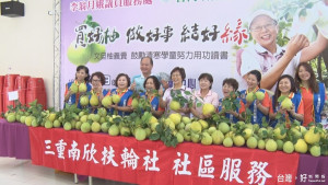 關懷弱勢助貧童　蘆洲愛心柚9/11開賣