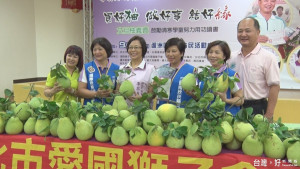 重陽公園愛心柚義賣　善款近62萬創新高