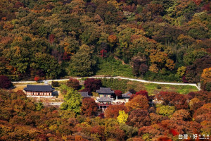 時序入秋，賞楓行程成為目前最多人詢問的旅遊產品。（圖／喜鴻假期提供）