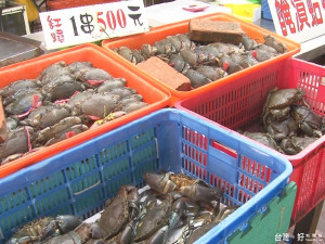 肥美秋蟹登場 醫師叮嚀切勿暴食
