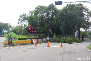 古坑綠色隧道遭梅姬肆虐一片狼籍，公所僱工清除已恢復原貌將正常開放。（記者簡勇鵬攝）