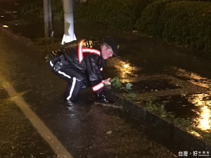 樹倒淹水車難行 警方冒雨即時排除