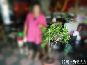 婦人行竊七里香住家藏 警所花聞香循線逮人