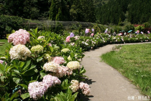 南投縣處處風景優美四季如春。（記者扶小萍攝）