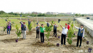 中市府推廣種樹綠美化 營造都市林綠廊願景