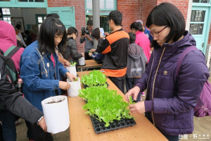 揪團種菜，種出綠意，種下希望。（記者郭春輝攝）