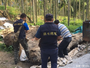 羅姓男子涉嫌竊取滯留於河灘地的珍貴林木，被警方查獲依違反森林法竊盜罪嫌送辦。（圖／保七總隊第五大隊提供）