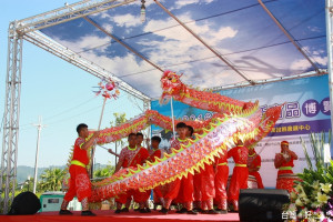 生活商品博覽會由寶島時代村龍隊揭開序幕。（記者扶小萍攝）