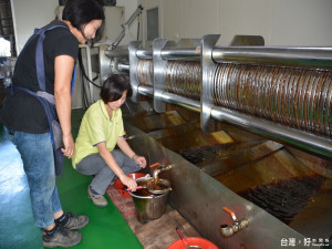 佳里區農會供銷部主任林麗月(著黃上衣)嚴守把關台灣本土榨胡麻油，過程中，看到滴滴胡麻油時雀躍不已，高興說總算可以向理監事、農民會員和老客戶交待。(圖/記者黃芳祿拍攝)