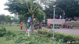 桃市府期望透過研習訓練，強化景觀相關執業人員執行樹木修剪的專業能力及提升人員對樹木修剪職場的安全觀念。