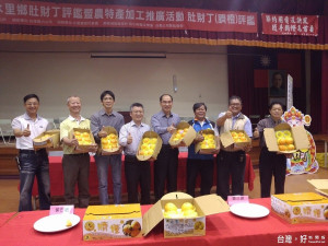 水里鄉肚財丁評鑑活動，參與評鑑的臍橙品質，貴賓們都說「讚」！〈記者吳素珍攝〉