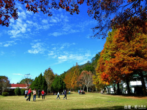 今年奧萬大賞楓延後，民眾可上網先了解楓況。