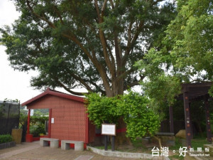  外埔永豐里油雞公伯小公園，場地廣敞又優靜，是休閒運動好場地

，值得遊客觀賞。（記者陳榮昌攝）