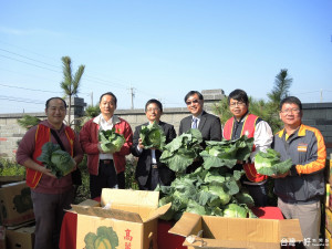 農糧署為弱勢團體加菜　贈高麗菜3萬5名民眾免費享用