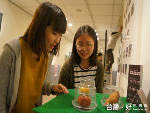 弘光科技大學文化創意產業系把腐爛的水果、丟棄的瓶子創造成「撫

爛展」、「瓶凡的罪惡」等十種不同作品，推出「藝術策畫與展覽」

，祈喚起大家愛環保。（記者陳榮昌攝）