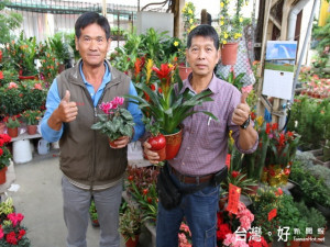 國光花市春節不打烊。林重鎣攝