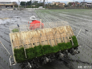 入冬後雨水不足　南彰地區春耕將先分區大輪灌