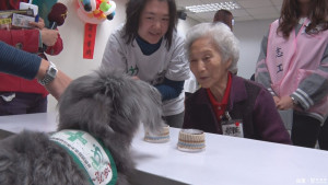 狗醫師療癒長者緩失智　學生志工認識老化
