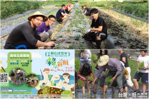 宜蘭綠博邀請友善同好參與種菜和播田趣。（圖／財團法人蘭陽農業發展基金會提供）