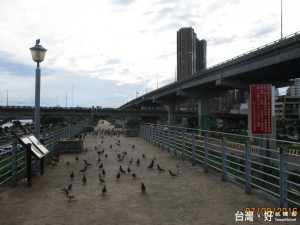 針對野鴿聚集處提高防疫工作，並強力取締餵食野鳥民眾，避免禽流感疫病傳播。（圖／動保處提供）